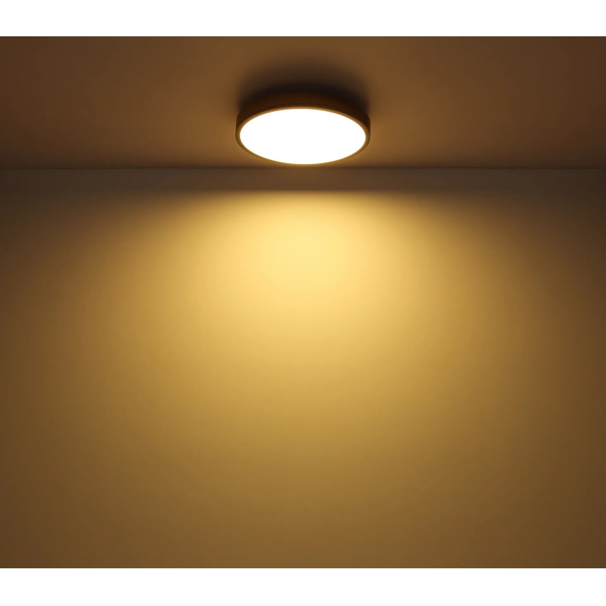 Globo - LED Prigušiva stropna svjetiljka LED/40W/230V 2700-6500K pr. 60 cm + daljinski upravljač smeđa/siva