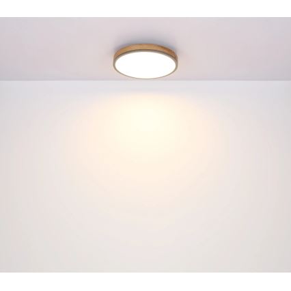 Globo - LED Prigušiva stropna svjetiljka LED/40W/230V 2700-6500K pr. 60 cm + daljinski upravljač smeđa/siva