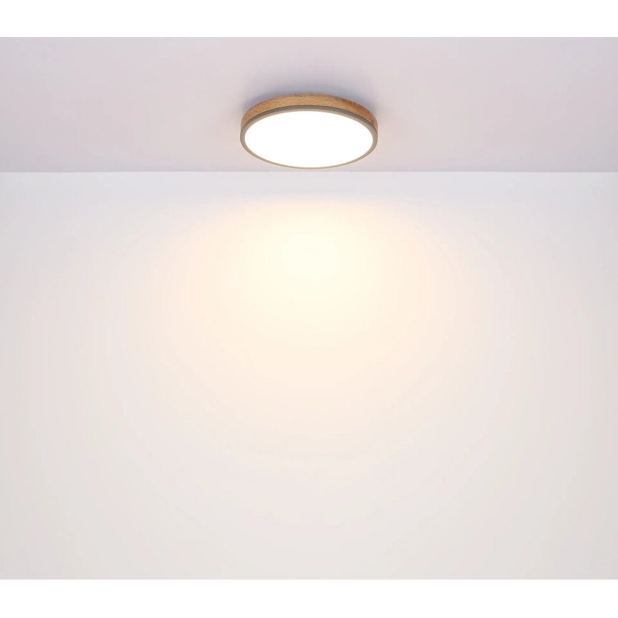 Globo - LED Prigušiva stropna svjetiljka LED/40W/230V 2700-6500K pr. 60 cm + daljinski upravljač smeđa/siva