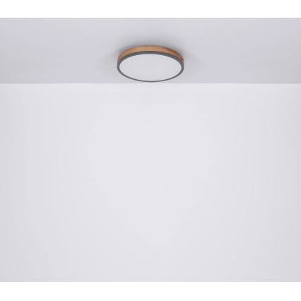 Globo - LED Prigušiva stropna svjetiljka LED/40W/230V 2700-6500K pr. 60 cm + daljinski upravljač smeđa/siva
