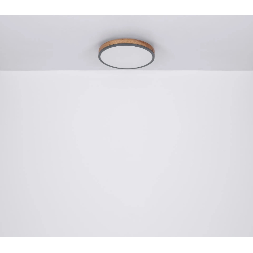 Globo - LED Prigušiva stropna svjetiljka LED/40W/230V 2700-6500K pr. 60 cm + daljinski upravljač smeđa/siva
