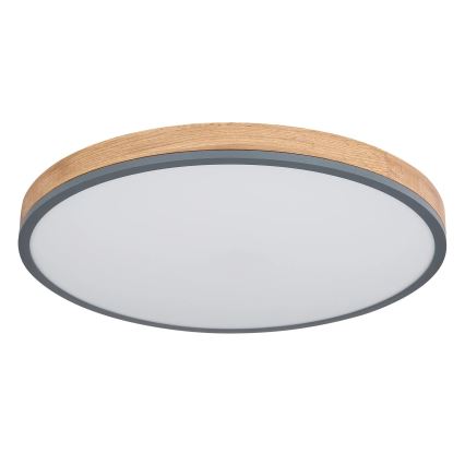 Globo - LED Prigušiva stropna svjetiljka LED/40W/230V 2700-6500K pr. 60 cm + daljinski upravljač smeđa/siva