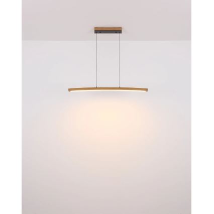 Globo - LED viseći luster s dodirnim prigušivanjem na kabelu LED/18W/230V 3000K