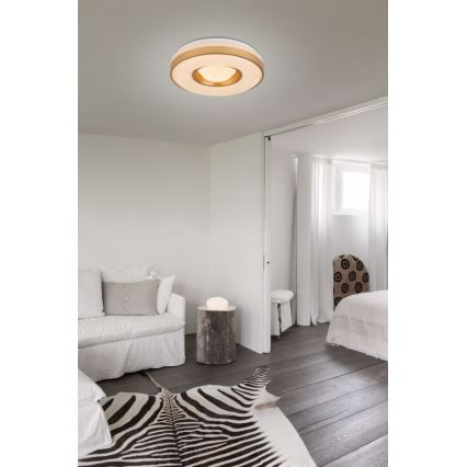 Globo - LED Stropna svjetiljka LED/24W/230V