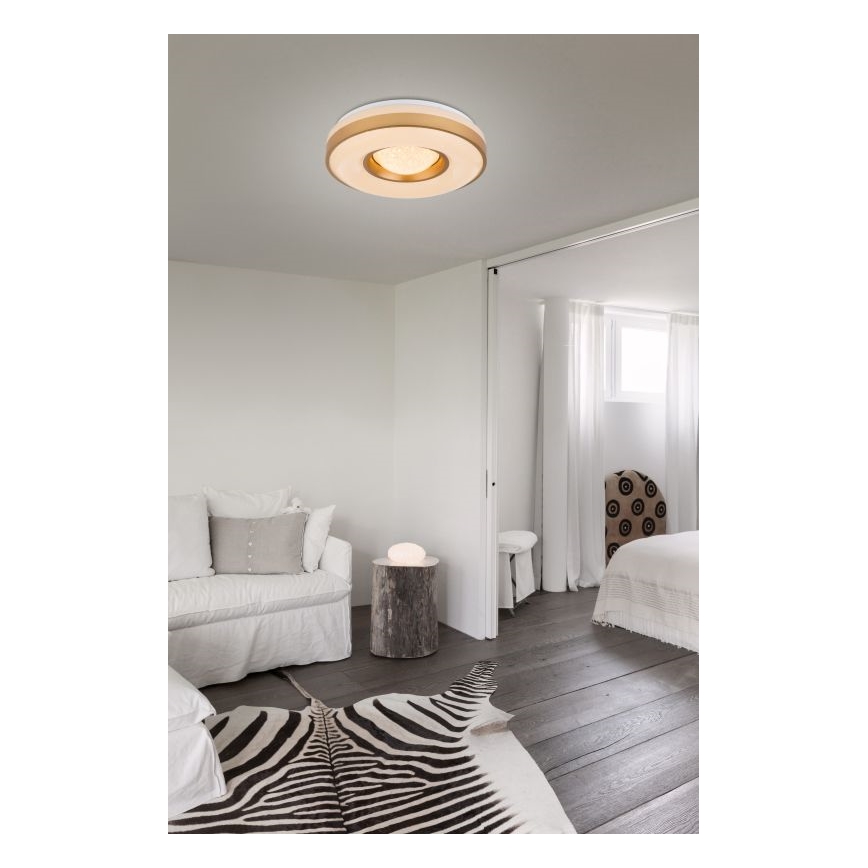 Globo - LED Stropna svjetiljka LED/24W/230V