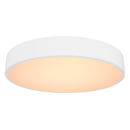 Globo - LED Prigušiva stropna svjetiljka LED/24W/230V 3000-6000K + daljinski upravljač