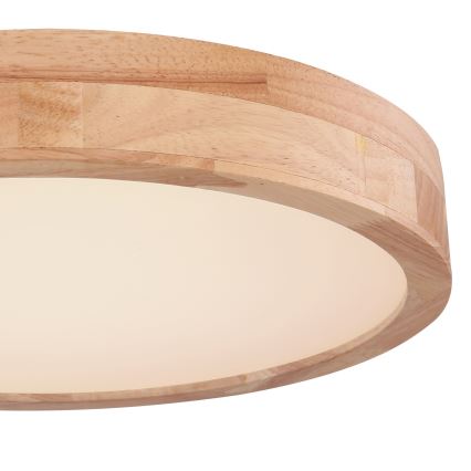 Globo - LED Prigušiva stropna svjetiljka LED/24W/230V 3000-6000K + daljinski upravljač