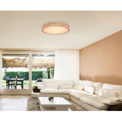 Globo - LED Prigušiva stropna svjetiljka LED/48W/230V 3000-6000K + daljinski upravljač