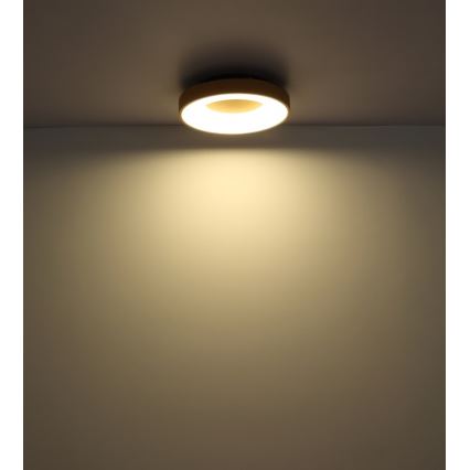 Globo - LED Prigušiva stropna svjetiljka LED/30W/230V + daljinski upravljač