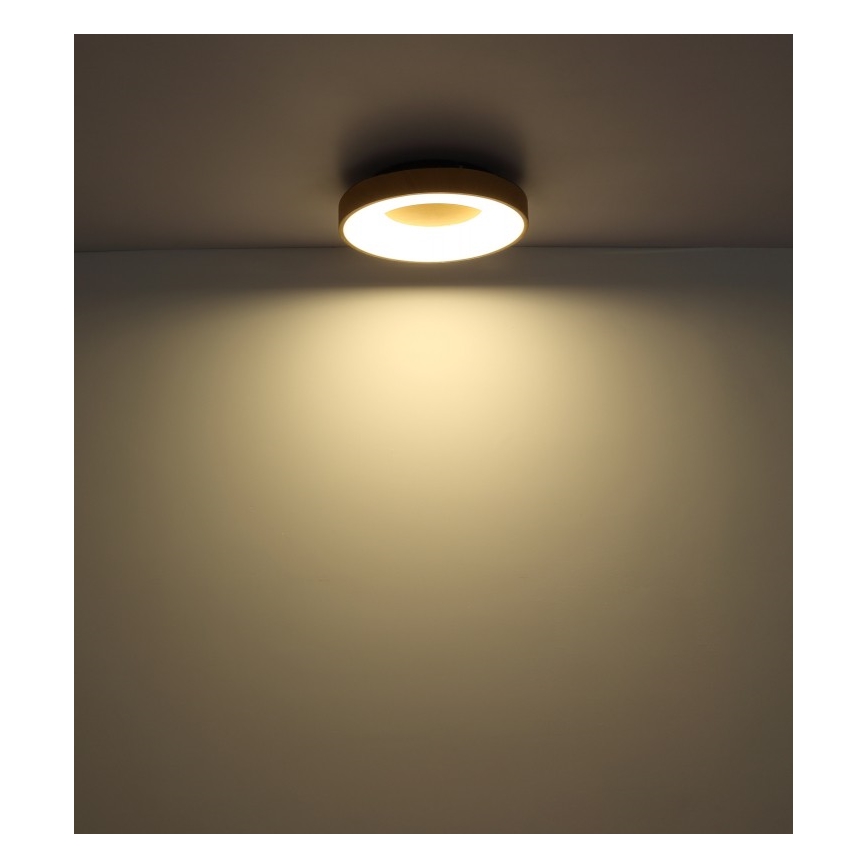 Globo - LED Prigušiva stropna svjetiljka LED/30W/230V + daljinski upravljač