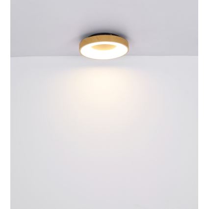Globo - LED Prigušiva stropna svjetiljka LED/30W/230V + daljinski upravljač