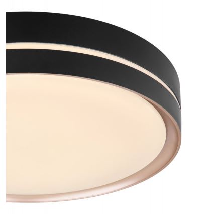 Globo - LED Prigušiva stropna svjetiljka LED/24W/230V + daljinski upravljač