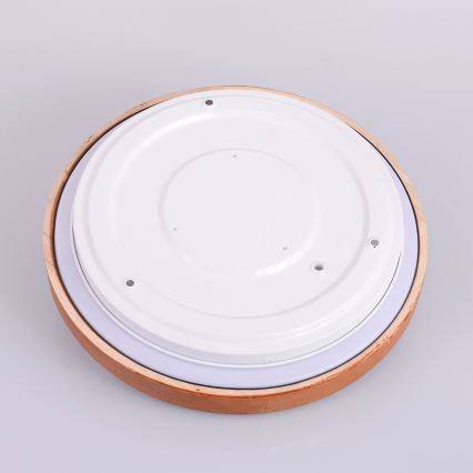 Globo - LED stropna svjetiljka LED/12W/230V 307 mm 3000/4500/6000K