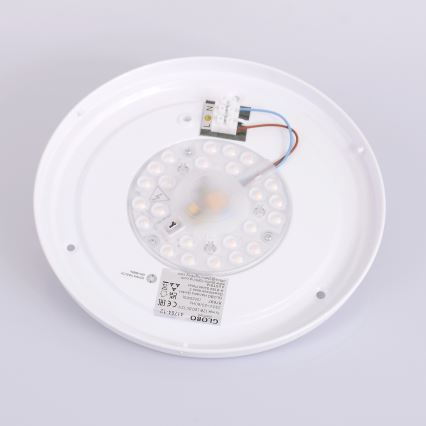Globo - LED stropna svjetiljka LED/12W/230V 307 mm 3000/4500/6000K