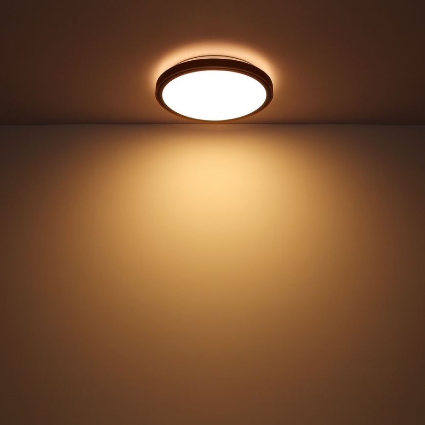 Globo - LED Stropna svjetiljka LED/12W/230V 307 mm 3000/4500/6000K