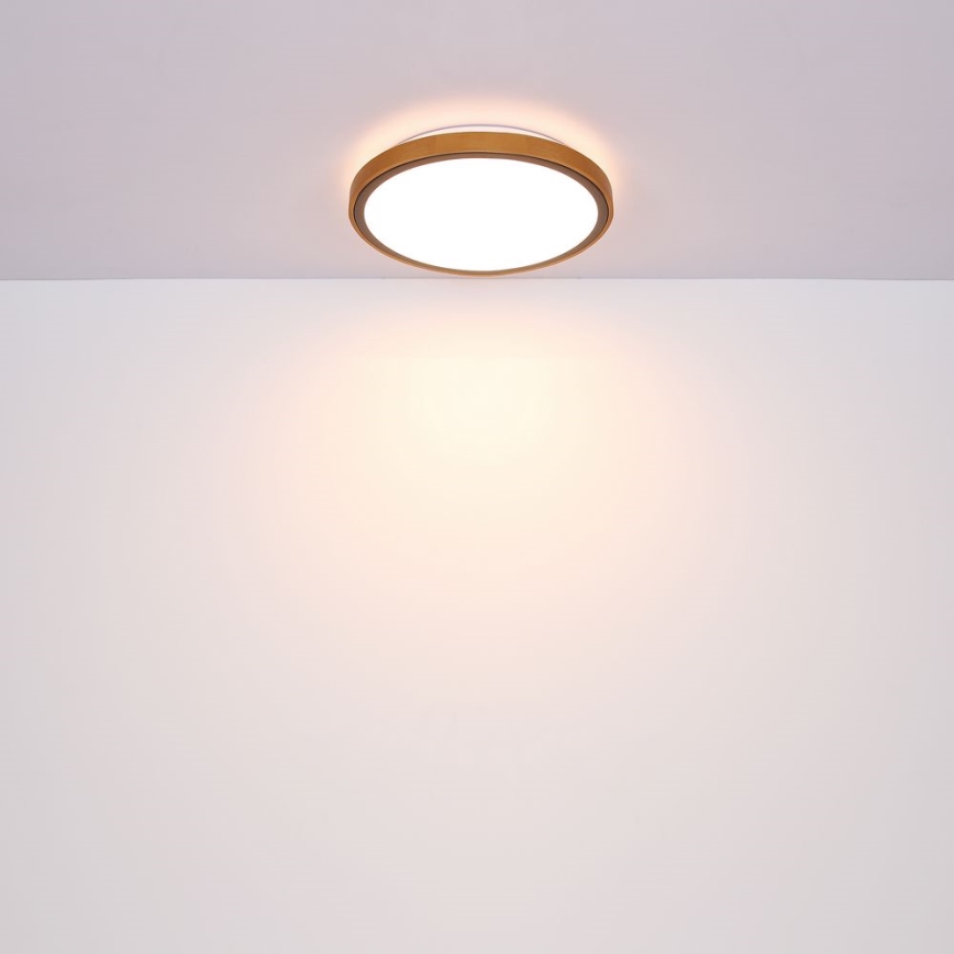 Globo - LED Stropna svjetiljka LED/12W/230V 307 mm 3000/4500/6000K