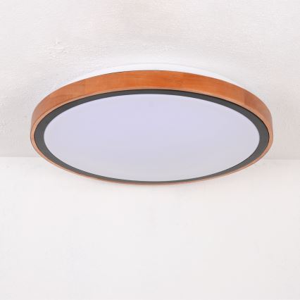 Globo - LED stropna svjetiljka LED/24W/230V 3000/4500/6000K promjer 43,7 cm