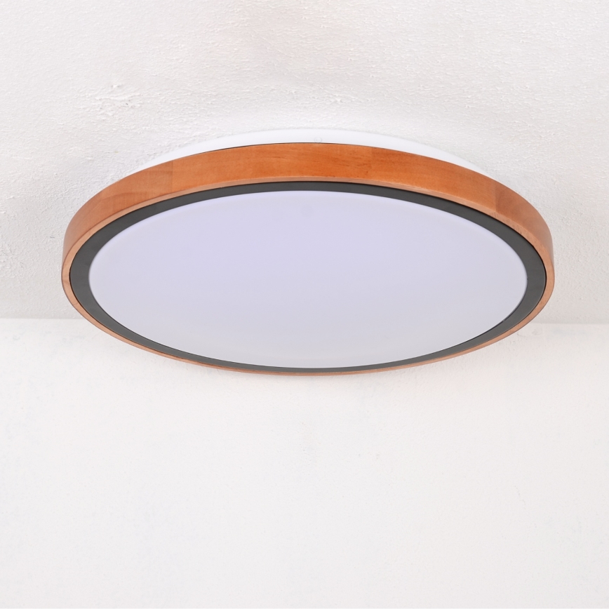 Globo - LED stropna svjetiljka LED/24W/230V 3000/4500/6000K promjer 43,7 cm