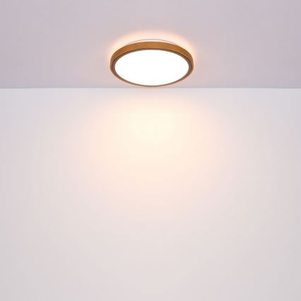 Globo - LED Stropna svjetiljka LED/24W/230V 437mm 3000/4500/6000K