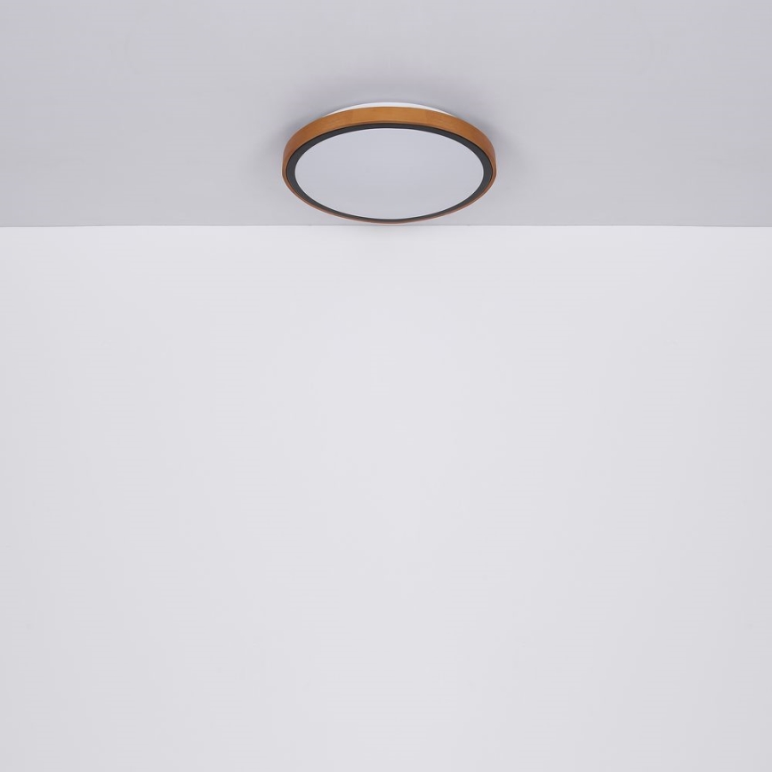 Globo - LED Stropna svjetiljka LED/24W/230V 3000/4500/6000K pr. 43,7 cm
