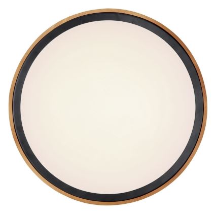 Globo - LED Stropna svjetiljka LED/24W/230V 3000/4500/6000K pr. 43,7 cm