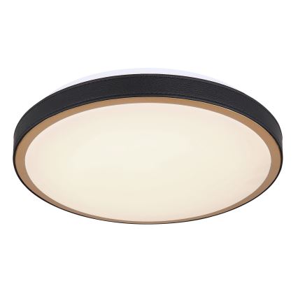 Globo - LED Stropna svjetiljka LED/12W/230V 3000/4500/6000K pr. 30 cm