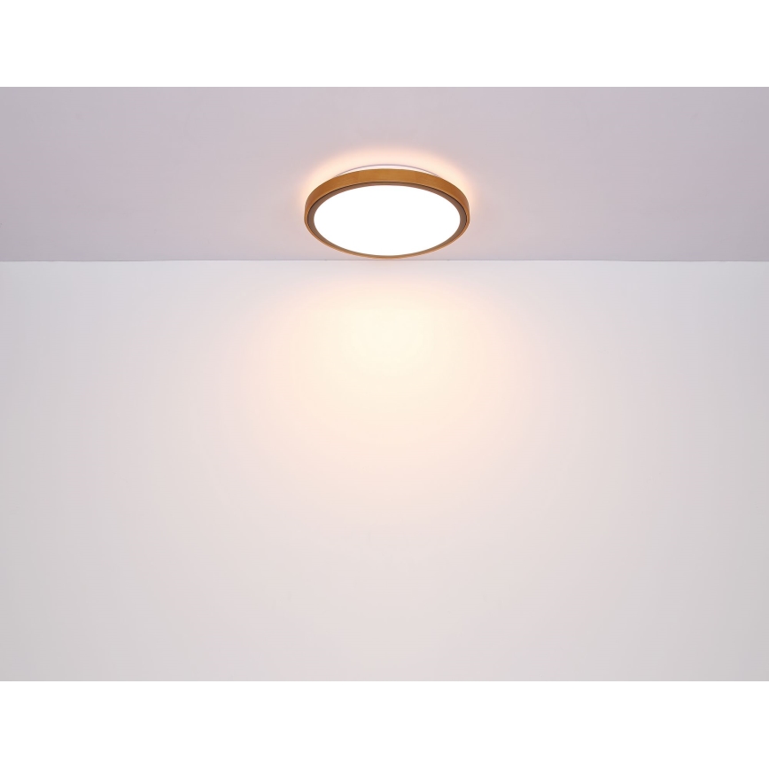 Globo - LED Stropna svjetiljka LED/12W/230V 3000/4500/6000K pr. 30 cm