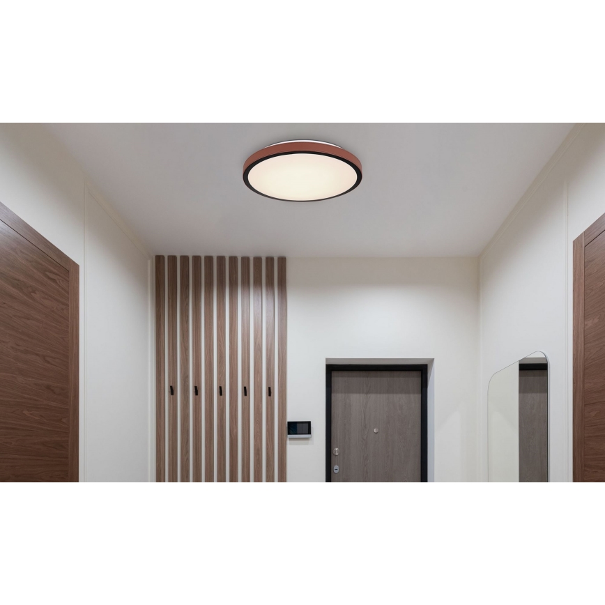 Globo - LED Stropna svjetiljka LED/24W/230V 3000/4500/6000K pr. 42 cm