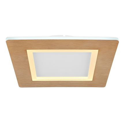 Globo - LED Stropna svjetiljka LED/23W/230V 2700/6500K