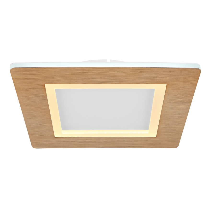 Globo - LED Stropna svjetiljka LED/23W/230V 2700/6500K