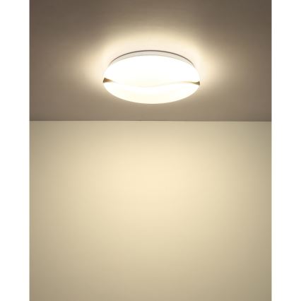 Globo - LED Stropna svjetiljka LED/24W/230V 3000/4200/6000K pr. 33 cm
