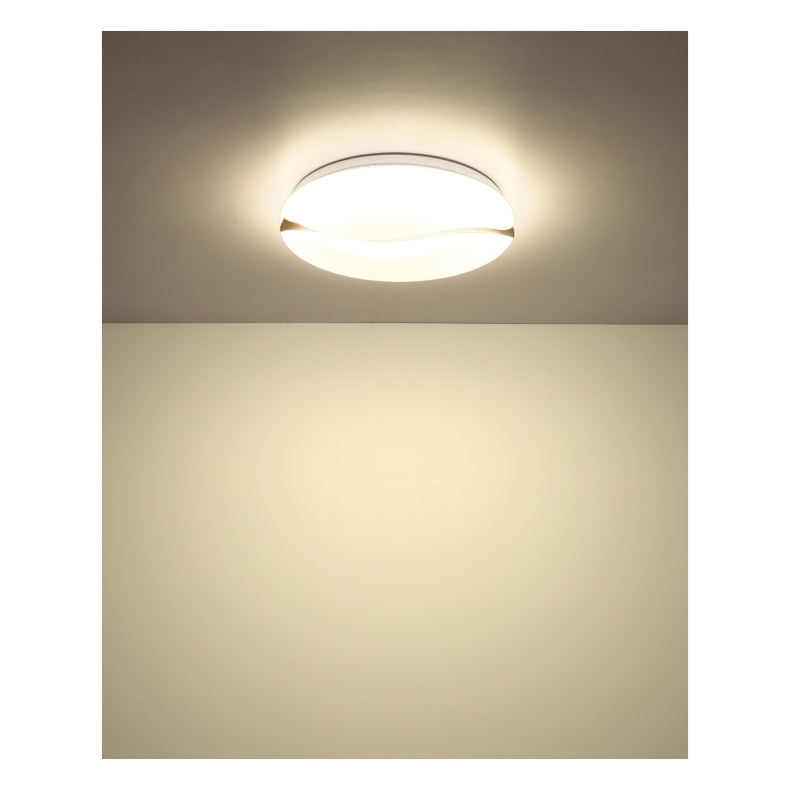 Globo - LED Stropna svjetiljka LED/24W/230V 3000/4200/6000K pr. 33 cm