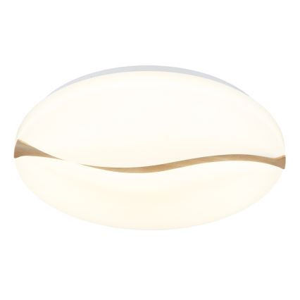 Globo - LED Stropna svjetiljka LED/24W/230V 3000/4200/6000K pr. 33 cm