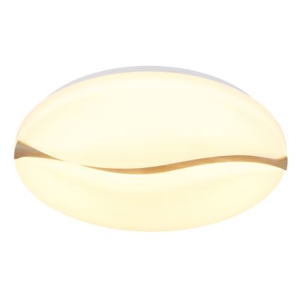 Globo - LED Stropna svjetiljka LED/24W/230V 3000/4200/6000K pr. 33 cm