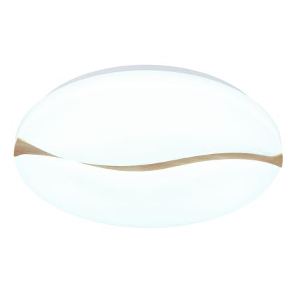 Globo - LED Stropna svjetiljka LED/24W/230V 3000/4200/6000K pr. 33 cm
