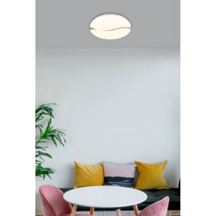 Globo - LED Stropna svjetiljka LED/24W/230V 3000/4200/6000K pr. 39 cm