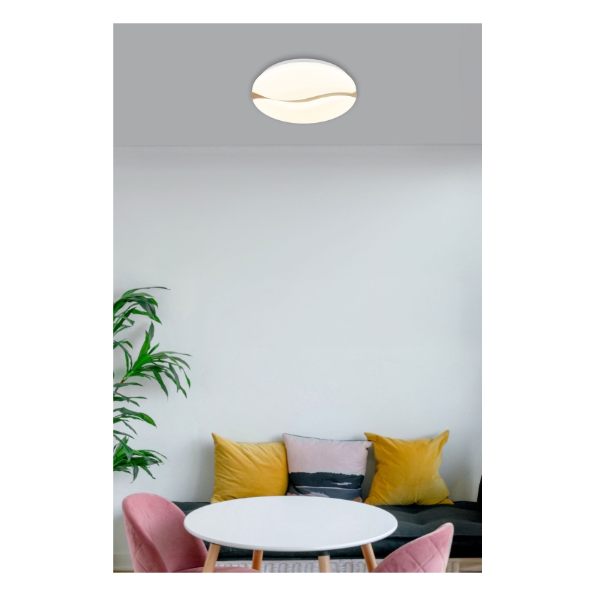 Globo - LED Stropna svjetiljka LED/24W/230V 3000/4200/6000K pr. 39 cm