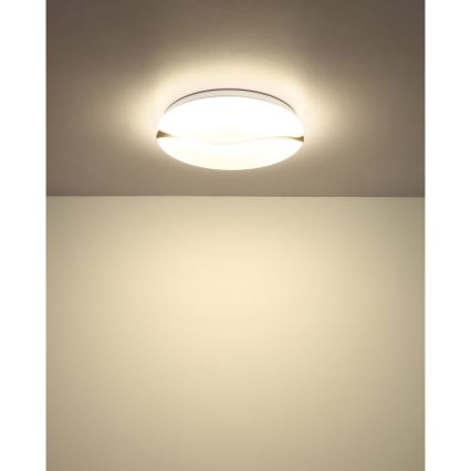 Globo - LED Stropna svjetiljka LED/24W/230V 3000/4200/6000K pr. 39 cm