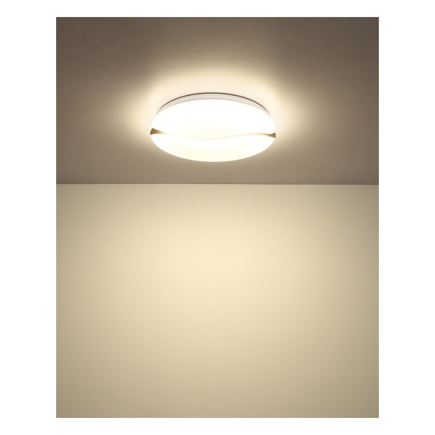 Globo - LED Stropna svjetiljka LED/24W/230V 3000/4200/6000K pr. 39 cm