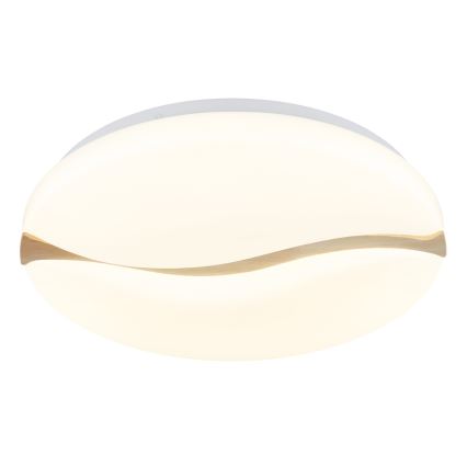 Globo - LED Stropna svjetiljka LED/24W/230V 3000/4200/6000K pr. 39 cm
