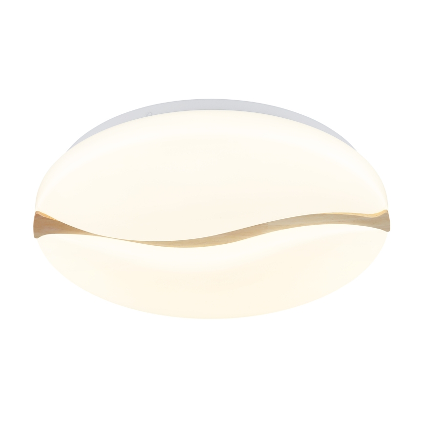 Globo - LED Stropna svjetiljka LED/24W/230V 3000/4200/6000K pr. 39 cm