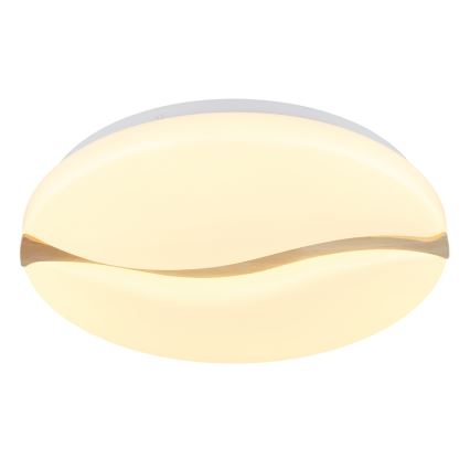 Globo - LED Stropna svjetiljka LED/24W/230V 3000/4200/6000K pr. 39 cm