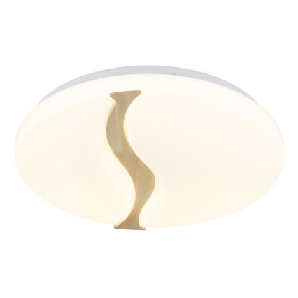 Globo - LED Stropna svjetiljka LED/24W/230V 3000/4200/6000K pr. 39 cm