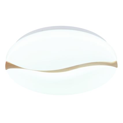 Globo - LED Stropna svjetiljka LED/24W/230V 3000/4200/6000K pr. 39 cm