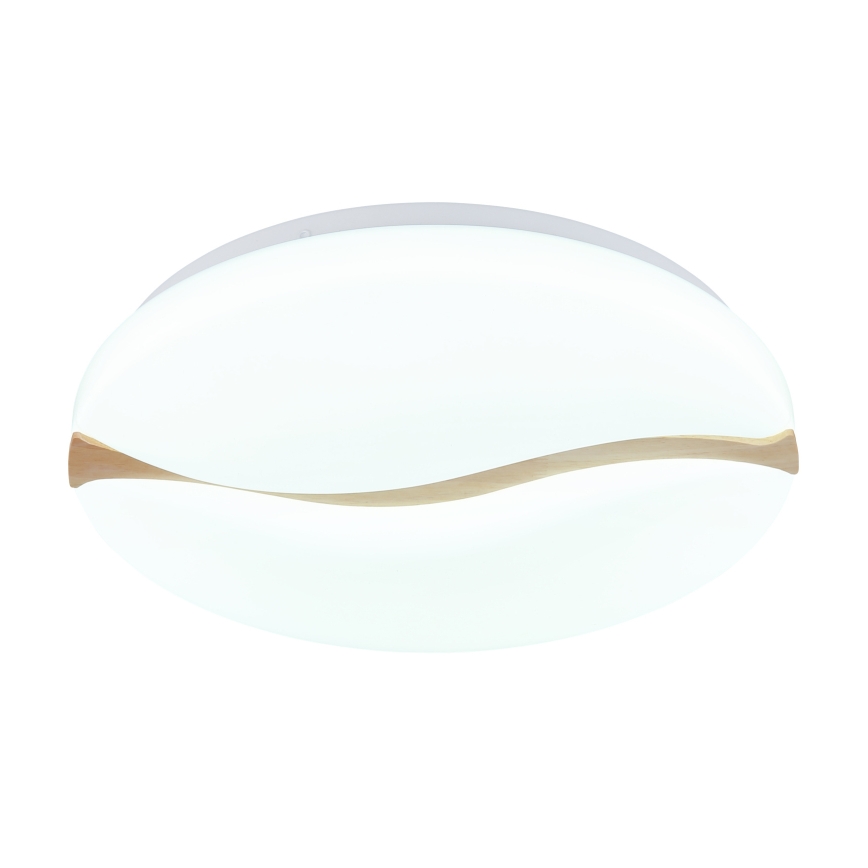 Globo - LED Stropna svjetiljka LED/24W/230V 3000/4200/6000K pr. 39 cm
