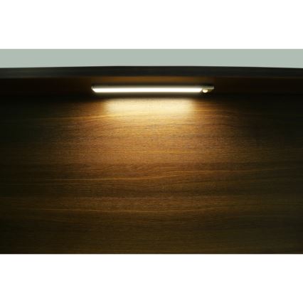 Globo - LED Prigušiva punjiva podelementna svjetiljka LED/1,4W/5V 4000K 1100 mAh 24 cm