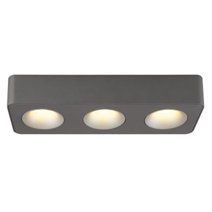 Globo - LED Stropna svjetiljka LED/14W/230V 11,7x33,2 cm