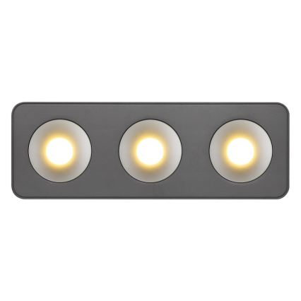 Globo - LED Stropna svjetiljka LED/14W/230V 11,7x33,2 cm