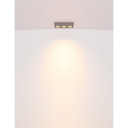 Globo - LED Stropna svjetiljka LED/14W/230V 11,7x33,2 cm