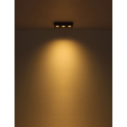 Globo - LED Stropna svjetiljka LED/14W/230V 11,7x33,2 cm